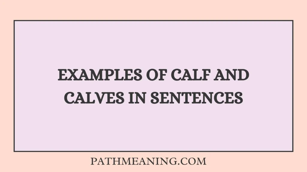 Examples of Calf and Calves in Sentences